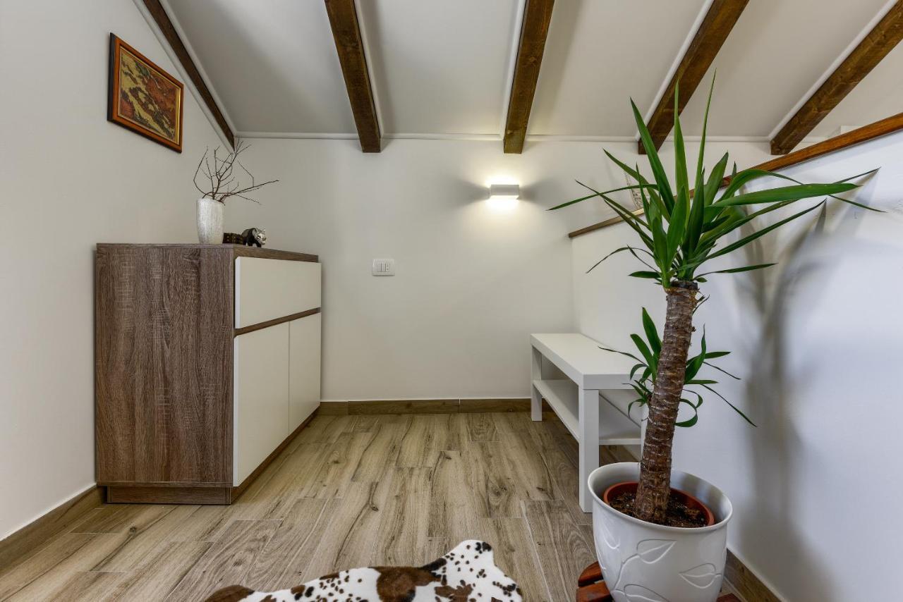 Apartment Yula 扎达尔 外观 照片